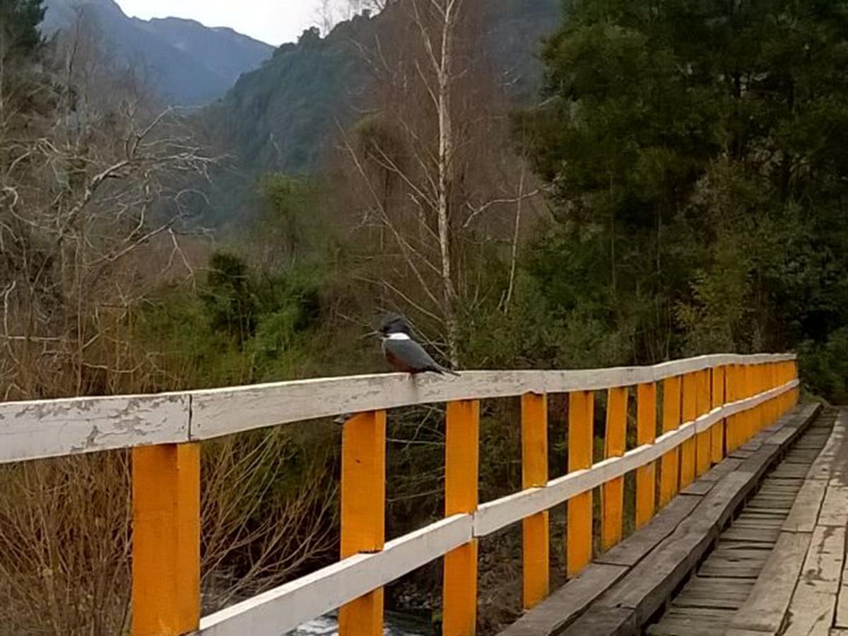Cuyinco Domos Villa Rininahue Luaran gambar