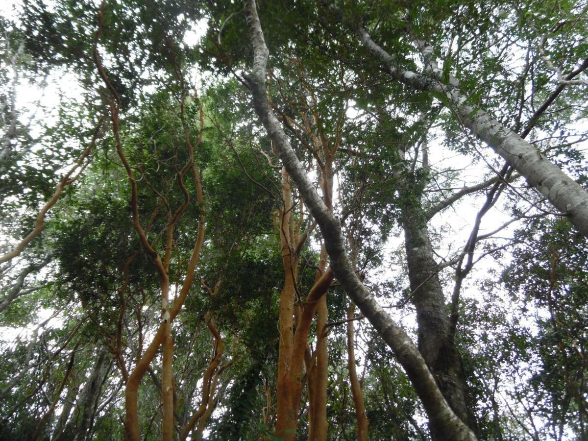 Cuyinco Domos Villa Rininahue Luaran gambar